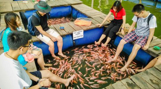 Bentota River Boat Safari Image