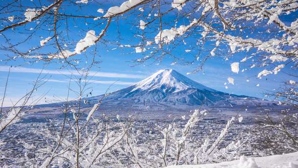 94bvlf0n4ndowsznjczdjjtvqpw2 shutterstock 1751658116