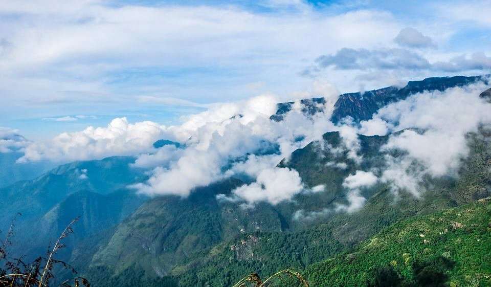 Scenic Trek to Canopy Hill Vattakanal