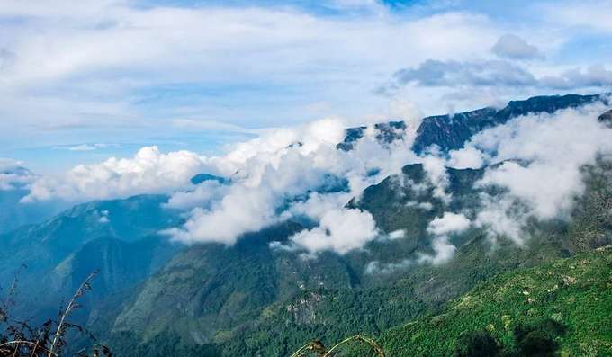 Scenic Trek to Canopy Hill Vattakanal