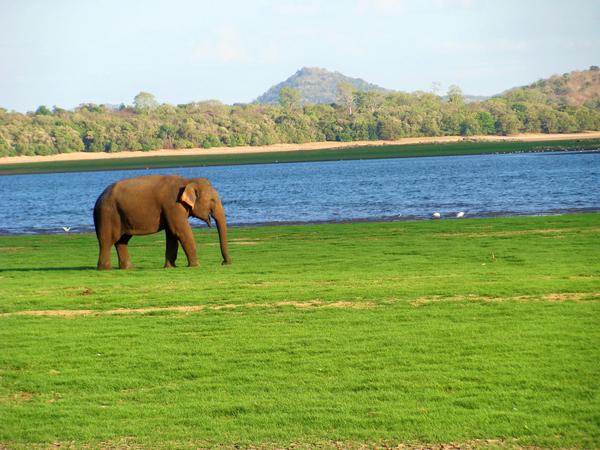 Maduru Oya National Park