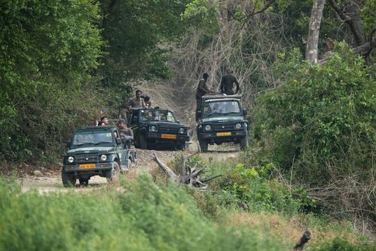 Mudumalai Buffer Zone Jeep Safari Image
