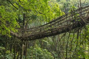 Living Root Bridge Riwai Village