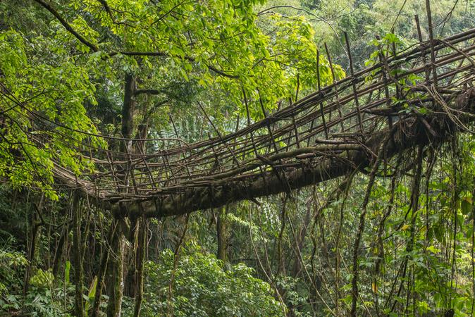 Living Root Bridge Riwai Village