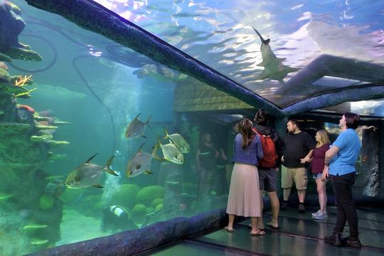 15 Days Australia Package Image