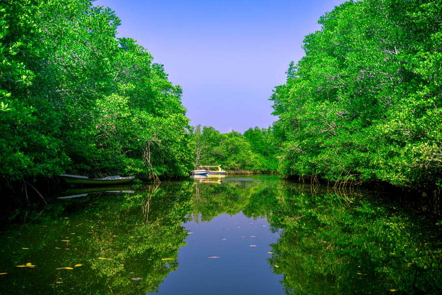Nusa Lembongan Tour Image