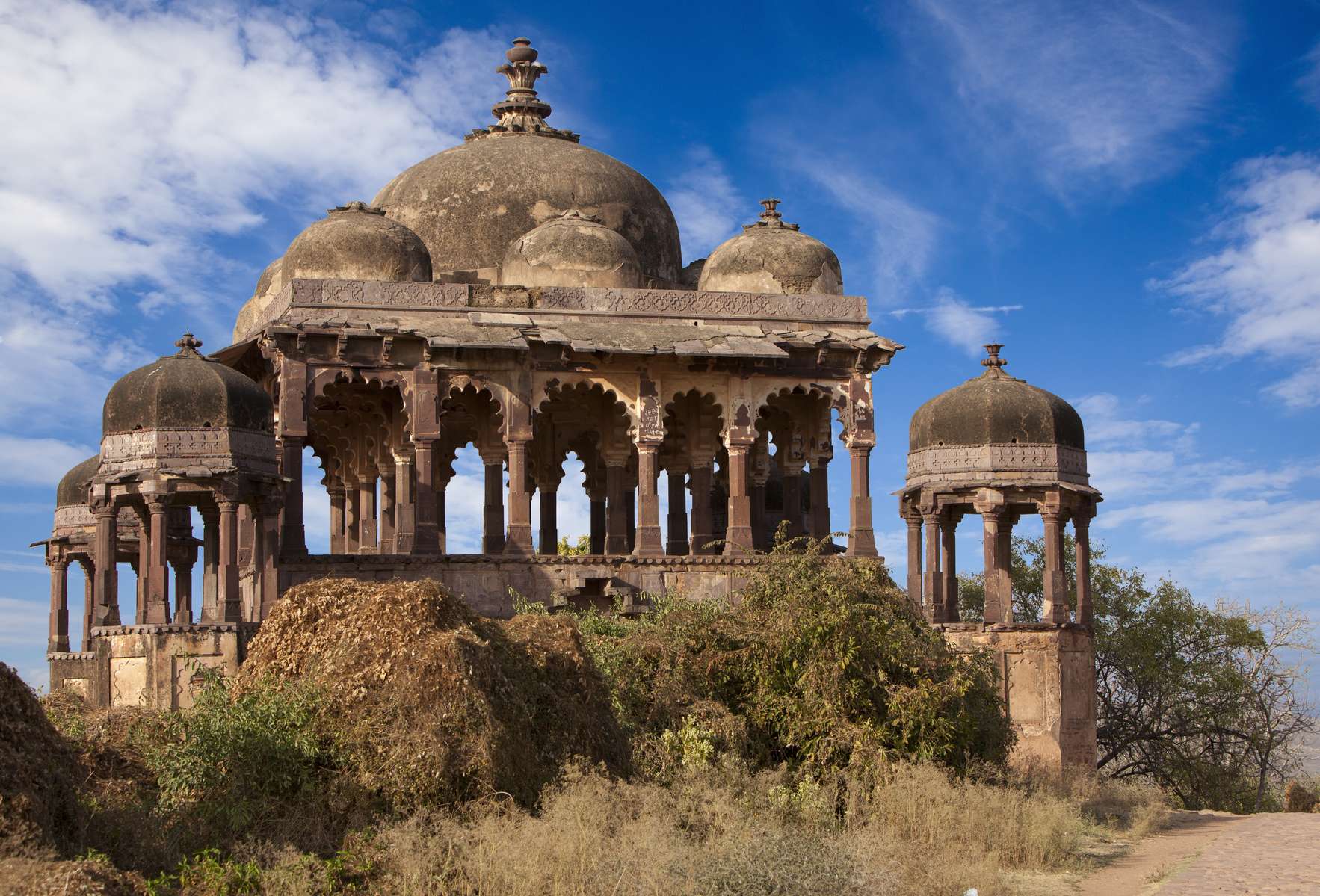 Ranthambore Tour Package from Jaipur Image