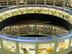 9g7z9dm0qskdv52atym3lalo29hg 1589286425 sea shell museum