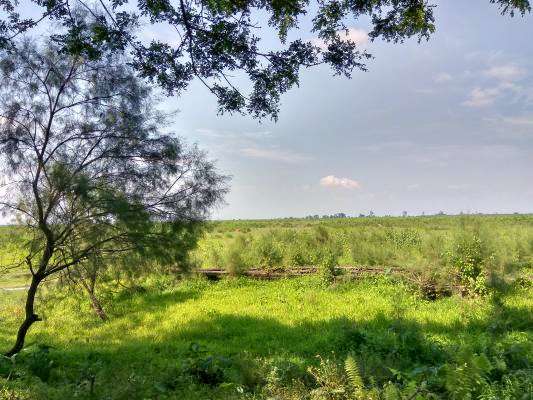 Kaziranga Full Day Cycling Tour Image