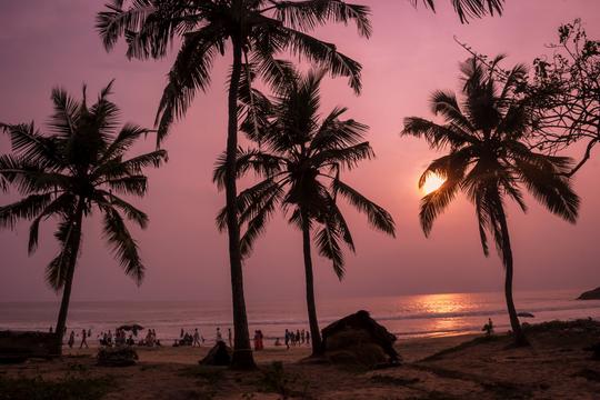 Kovalam Beach Tour  Image