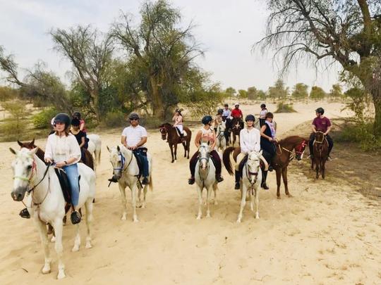 Horse Riding in Dubai Image