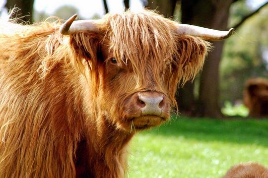 Phillip Island Beach and Wildlife Escape In Melbourne Image