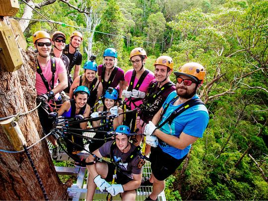 Canyon Flyer Zipline Tour, Gold Coast Image
