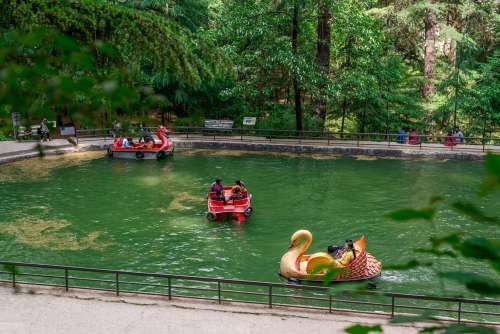 9l3y7hphs4tcu6s2c8sdlz9lxkn1 tourist%20enjoying%20boat%20ride%20in%20%20van%20vihar%20national%20park