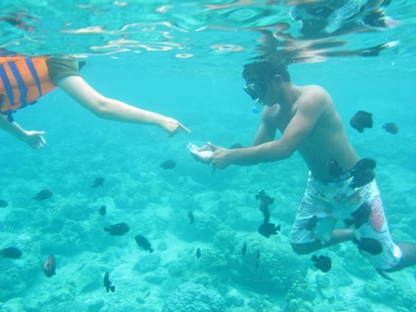 Blue Bay Marine Park