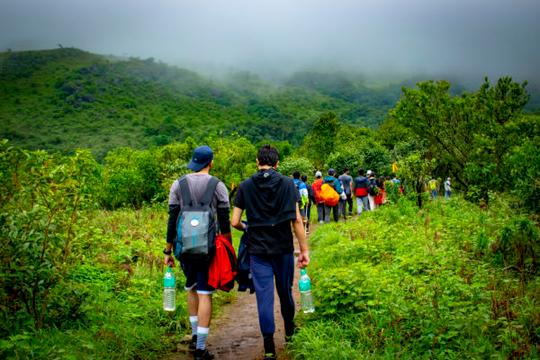 Chembra Peak Trek Image