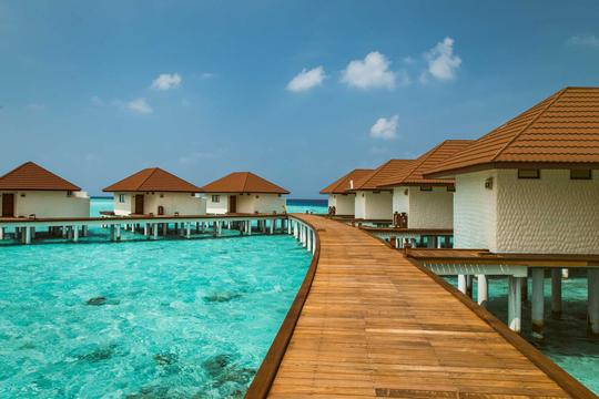 Discover Maldives with Alimatha Aquatic Resort Image