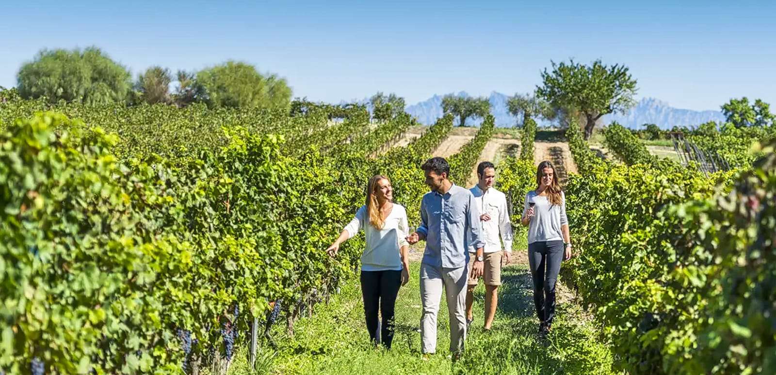 Montserrat and wine Tour from Barcelona Image