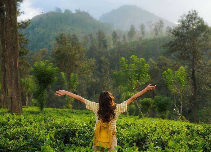 Girl enjoying the views of lush tea estate in Kadugannawa Tea Factory