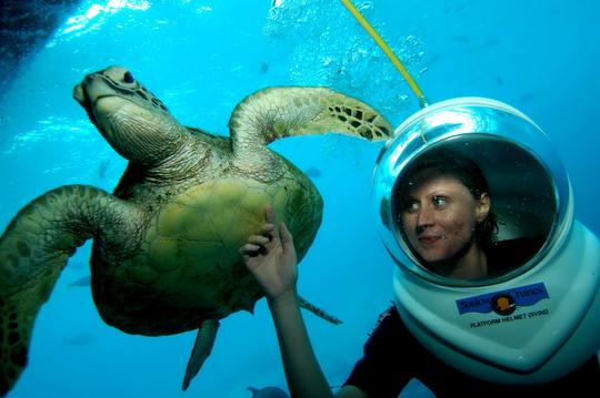 Sea Walking in Bali Image