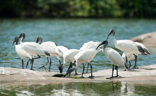 Mysore Sightseeing Tour Image