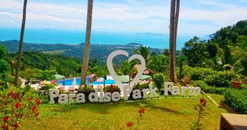 9syftbbjid9zs9u9o4qhtd3sw1zh 1554903769 211602 2