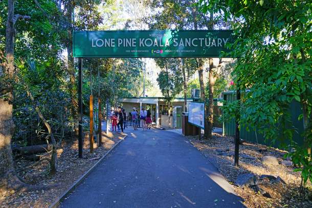 9tgz70saygg87eyve2pdmfxtaxt2 shutterstock 1035022678