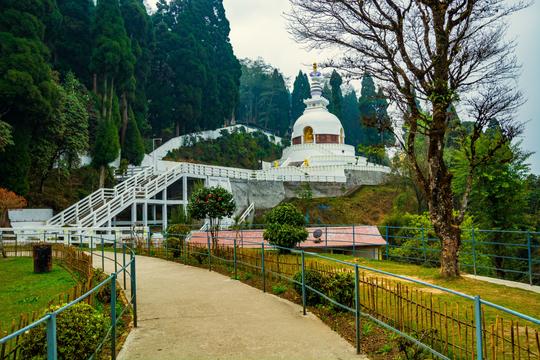 Darjeeling Adventure | FREE Himalayan Zoological Park Ticket Image