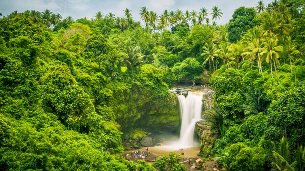 Tegenungan Waterfall Tour