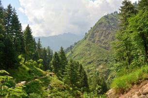 9wrh4uh4kawxk6let713ys72c7jd 1468498057 kasol (15)