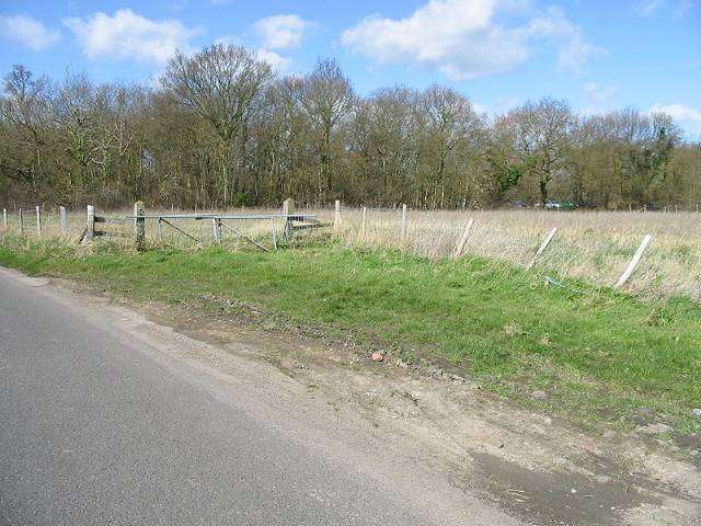 Blean Wood Nature Reserve Overview