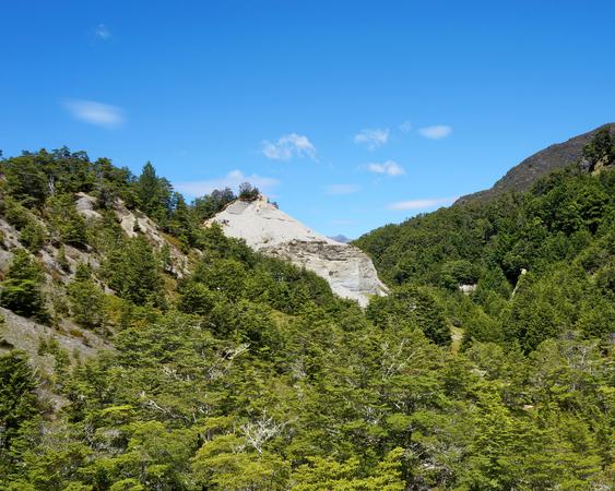 Mount Crichton Loop Track