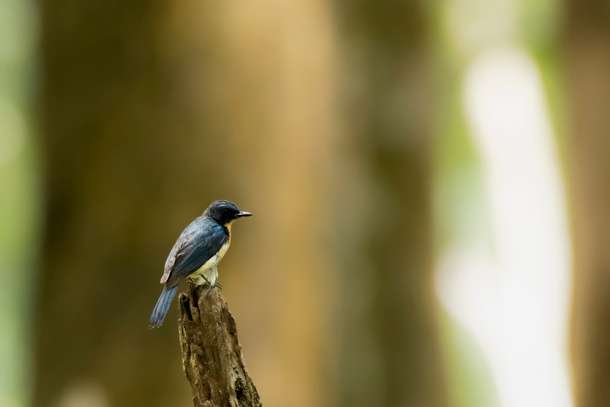 9zxutphi7sxa73zqlb0nokq05rgk shutterstock 1010547280