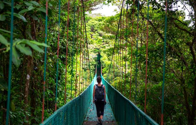 Walk across the hanging bridges of Monteverde Cloud Forest