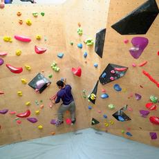 A1dhorhc25gsozhsomrn2ta9h380 1589188301 5c4eceeed4ec0c02c41609f8 1548668654525