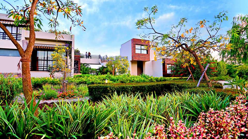 The Golden Tusk Image