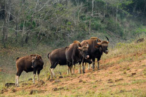 A1xqwq0p8flmmvjgi78lnk8egmw4 downpic.cc image180068415