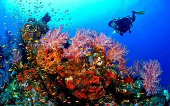 Scuba Diving In Alibaug Image
