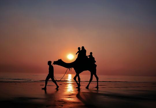 Surat City Sightseeing Tour Image