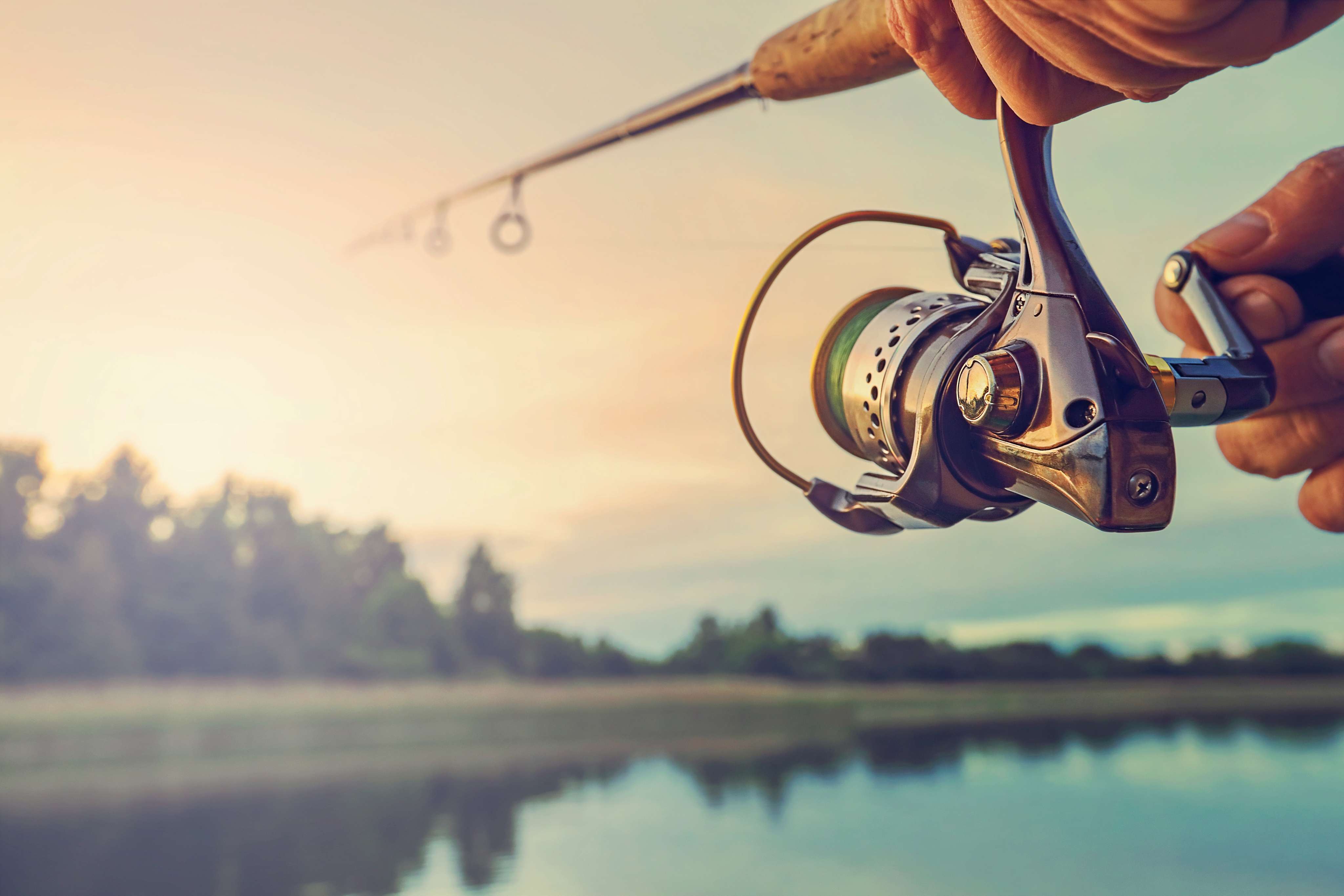 Hop in this tour for some fishing.