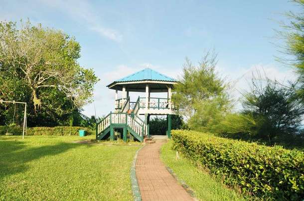 Day tour to Mount Harriet