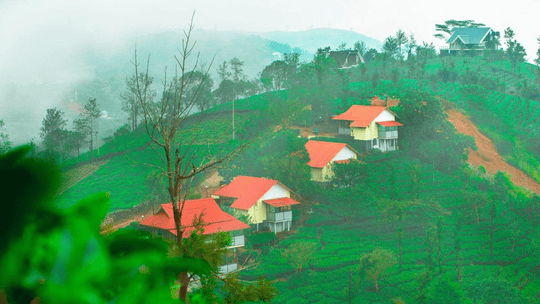 Voye Homes Novella Image