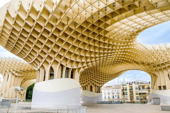 The Mushrooms of Seville