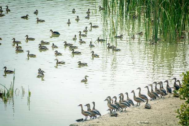 A7u8l8k7luvvxnzl18a6hhhem74v 1590663721 shutterstock 1645410757