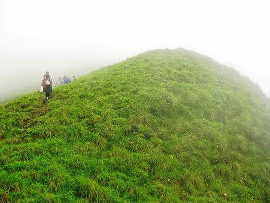 Pushpagiri Wildlife Sanctuary Safari Image