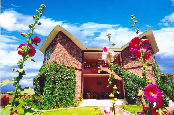 A9fvi6d1190fpnsmbx9uouey5ys0 ranthambore%20fern