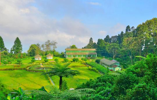 Day excursion to lamahatta, tinchuley & takdah Image