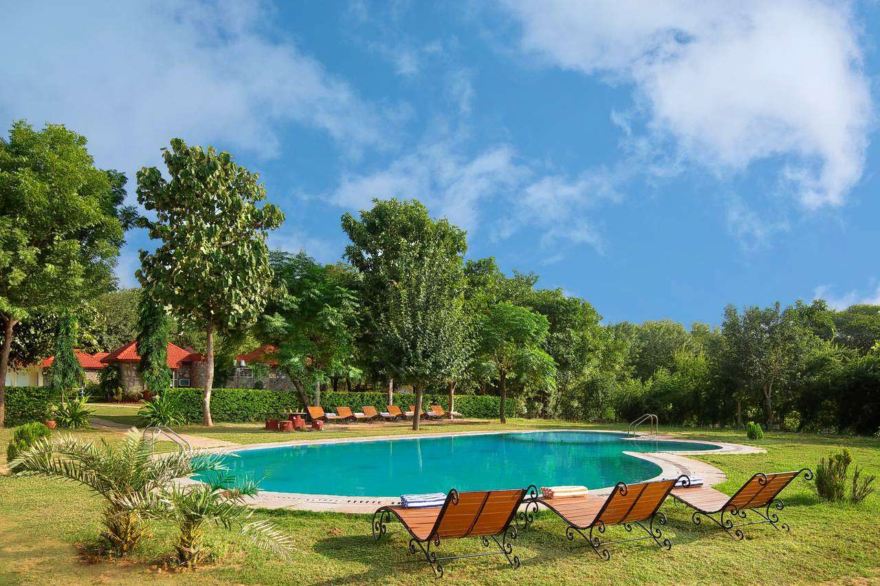 Sterling Sariska Image