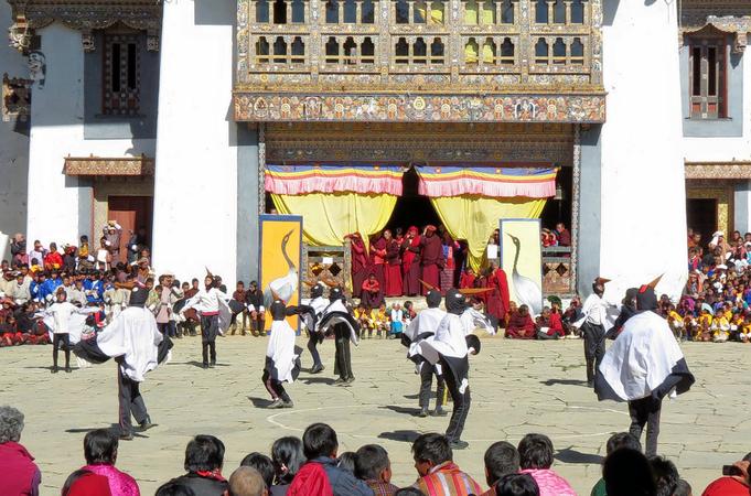 The Annual Black Necked Crane Festival