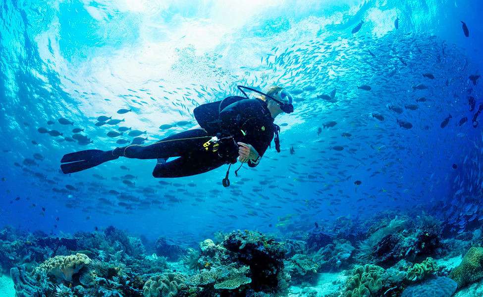 Enjoy scuba diving in Chennai